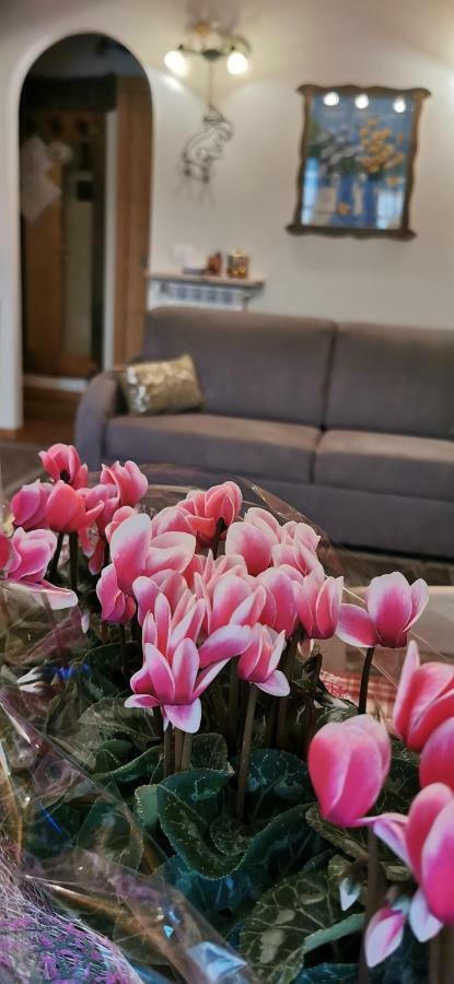 Borgo Alpino Chalet 4 Априка Екстер'єр фото